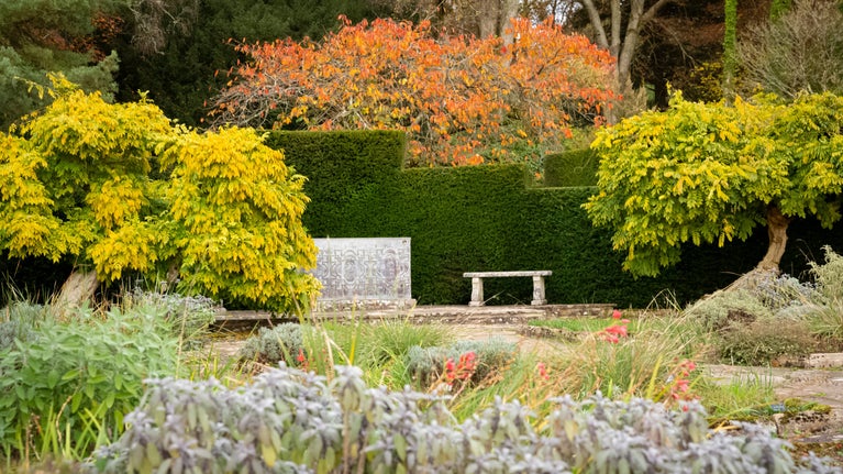 View of a garden with stone bench and paved path surrounded by plants in autumnal colours